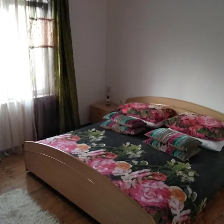 Apartman Marija 公寓 *